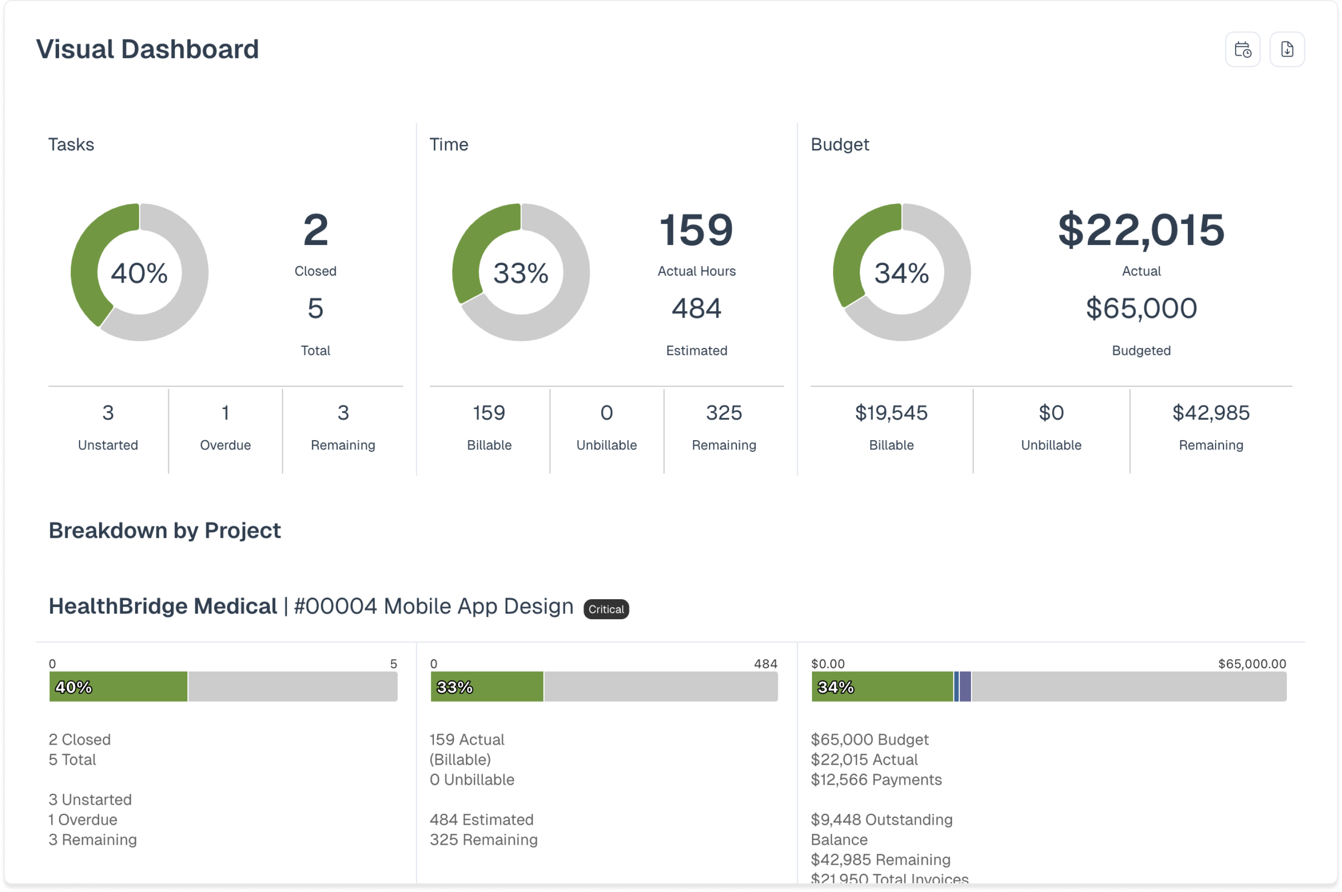 Project reporting interface showing budget tracking and project progress